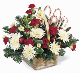Candy Cane Lane Arrangement